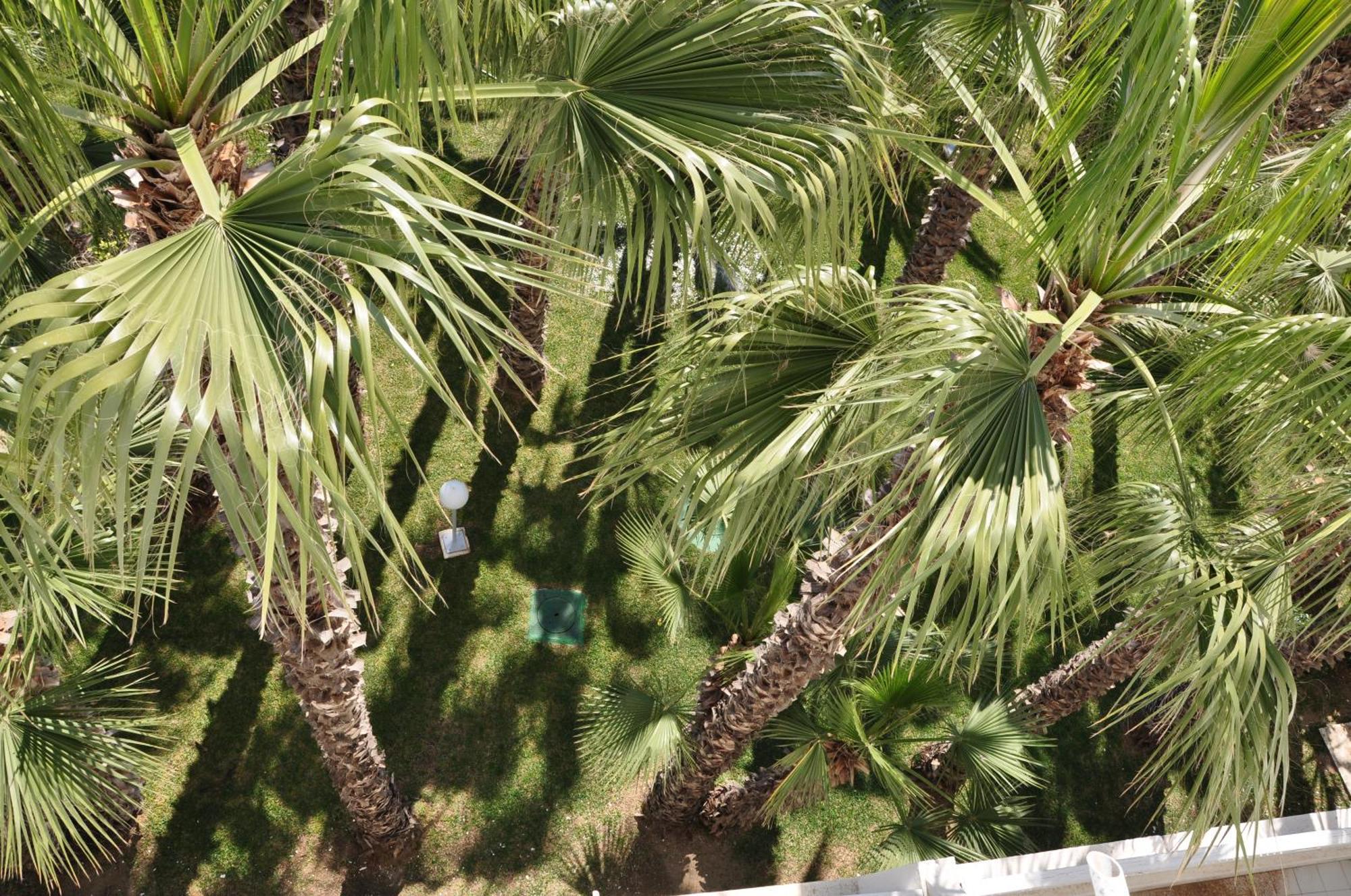 (סוס (עיר Kanta Resort And Spa מראה חיצוני תמונה